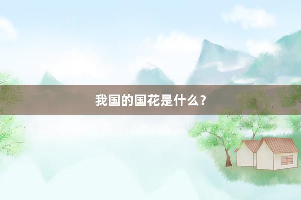 我国的国花是什么？