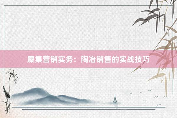 麇集营销实务：陶冶销售的实战技巧